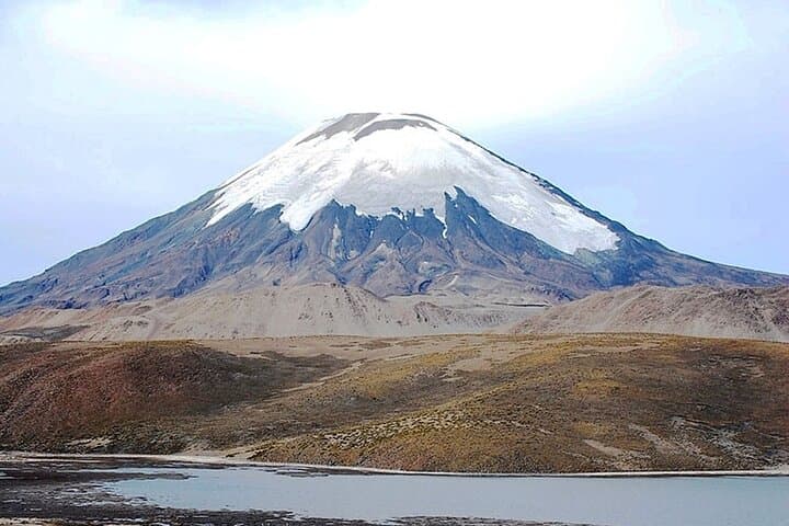Chungará Lake & Lauca National Park Day Tour from Arica photo 2