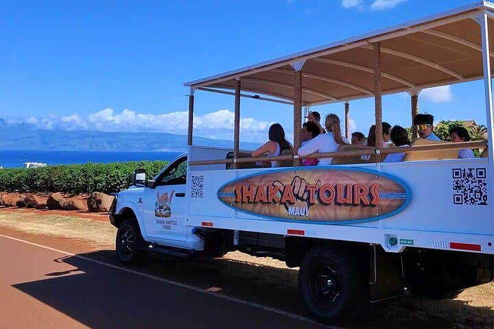 Open-Air West Maui Sightseeing — Kāʻanapali to Honolua Bay