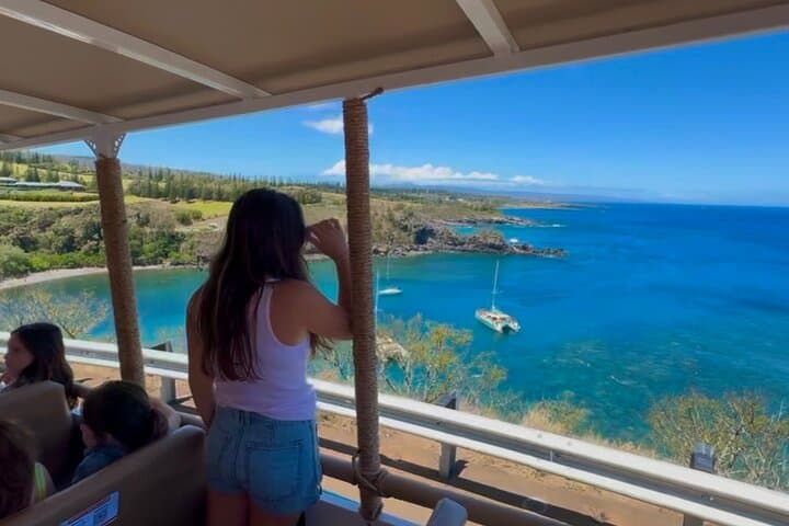 Open-Air West Maui Sightseeing: Banyan Tree, Honolua Bay & Nakalele Blowhole Tour photo 4