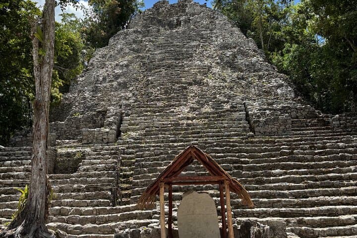 Full-Day Private Cobá Ruins & Cenote Tour from Tulum photo 5