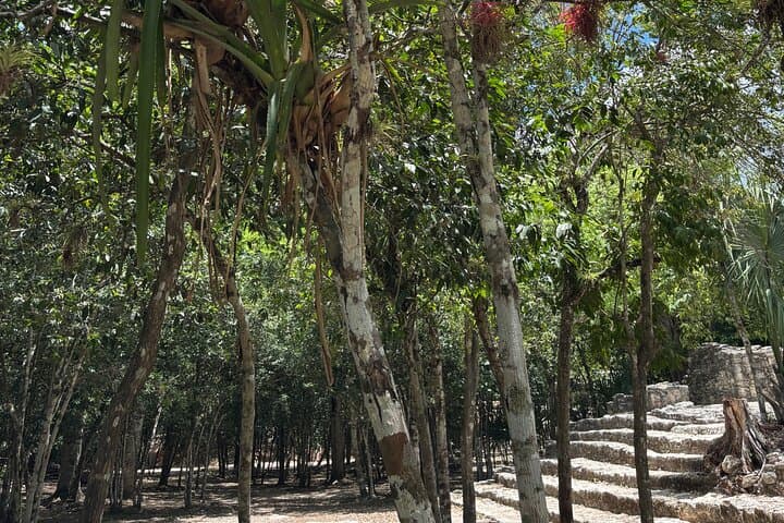 Full-Day Private Cobá Ruins & Cenote Tour from Tulum photo 6