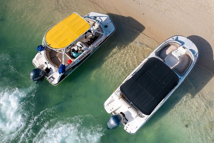 Private Snorkeling Charter on Aruba’s Crystal Coast — Beach Hopping & Reefs photo 3