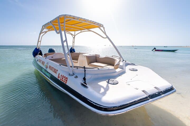 Private Snorkeling Charter on Aruba’s Crystal Coast — Beach Hopping & Reefs photo 2