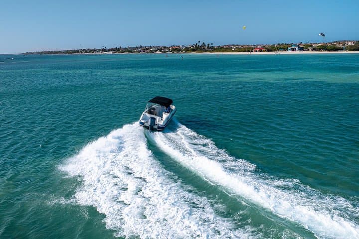 Private Aruba Boat Tour Snorkeling — Best Reefs, Beaches & Mangroves photo 4