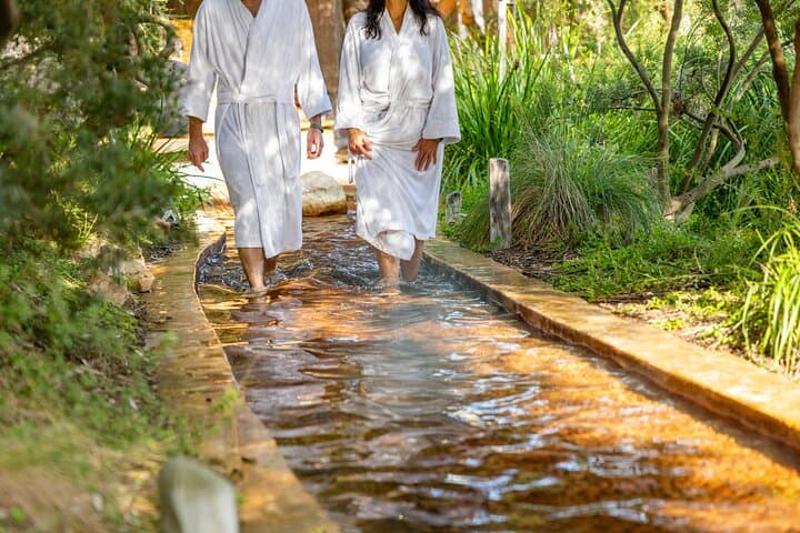 Mornington Peninsula Wine & Hot Springs Day Tour — Arthur's Seat to Peninsula Hot Springs