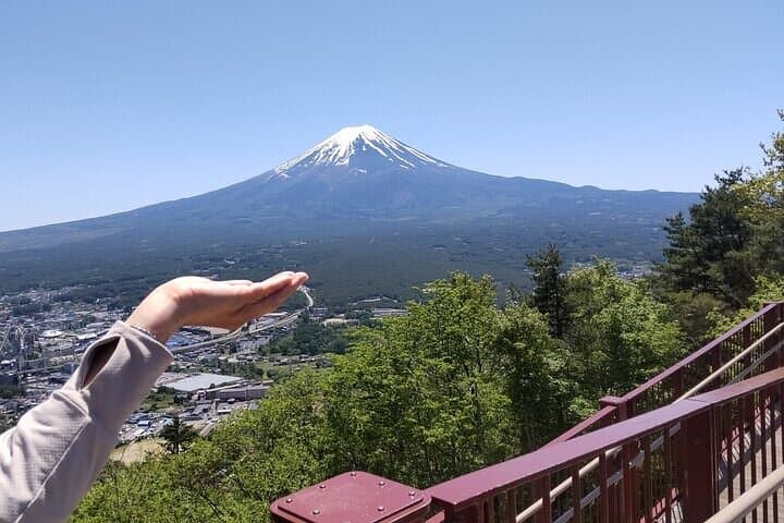 Chureito Pagoda & Lake Kawaguchi: Mount Fuji Panorama Guided Van Tour photo 3