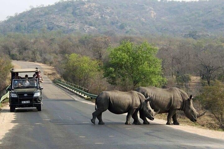 Half-Day Tala Game Reserve Safari and Phezulu Zulu Village from Durban