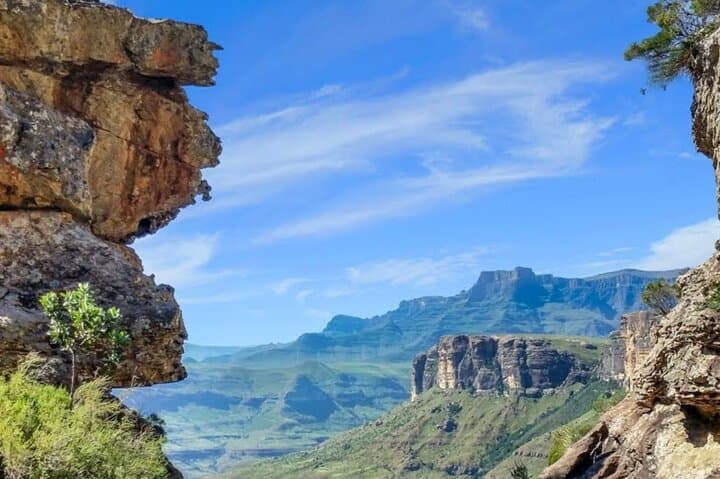 4-Day Garden Route Safari: Port Elizabeth to Cape Town via Tsitsikamma, Knysna & Benguela Cove photo 4