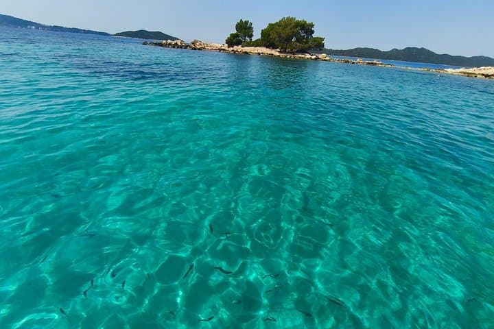 Blue Cave & Elaphiti Islands Full-Day Private Boat Tour from Dubrovnik photo 6