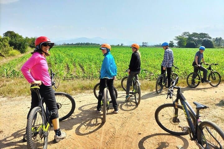 Cycle the Mae Ping: Chiang Mai Rice Fields Bike Tour from the City photo 4