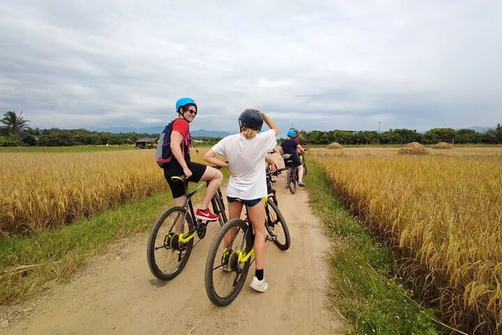 Cycle the Mae Ping: Chiang Mai Rice Fields Bike Tour from the City photo 1