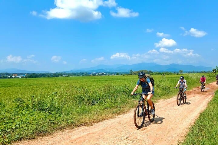 Cycle the Mae Ping: Chiang Mai Rice Fields Bike Tour from the City photo 2