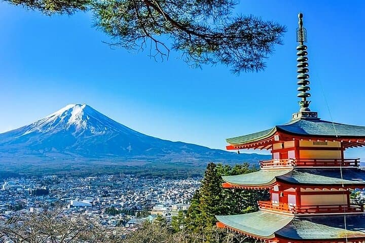 Private Mt Fuji & Hakone Day Tour from Tokyo with English-Speaking Driver