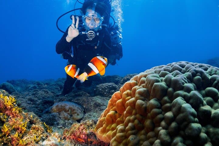 Dive with Green Sea Turtles at Xiaoliuqiu — Beginner Scuba Experience photo 3