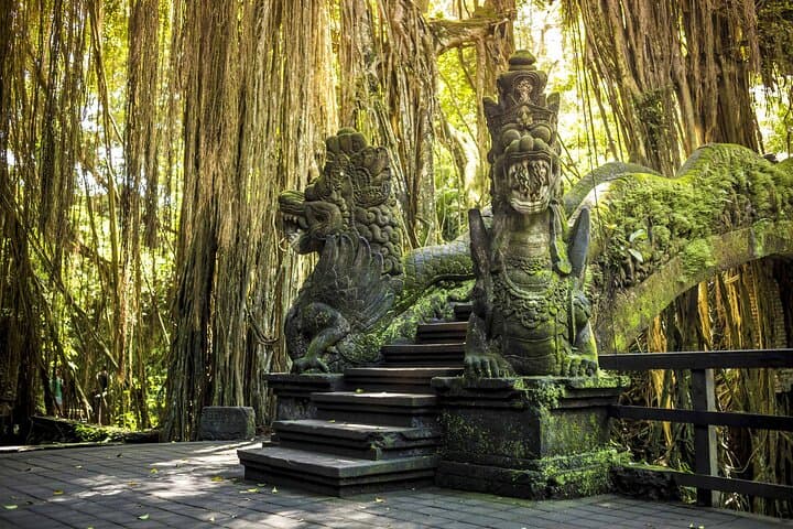 Custom Ubud Private Day Tour with Local Driver — Design Your Perfect Day photo 6