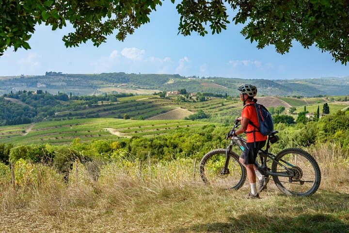 Chianti E-Bike Tour & Wine Tasting: Ride Through Tuscan Vineyards photo 4