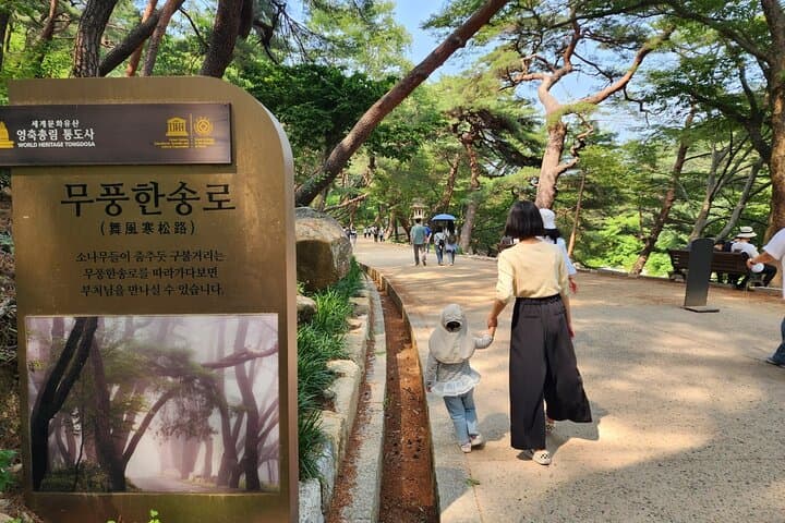 Inside Tongdosa: Busan to Korea’s Spiritual Jewel & Pine-Forest Walk photo 5