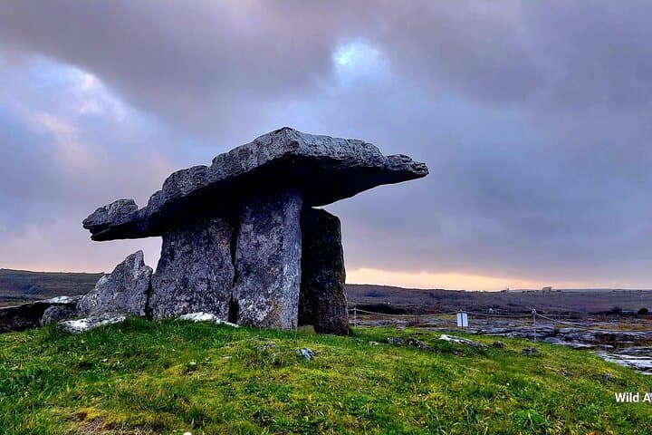 Private Cliffs of Moher, Burren & Sheep Farm Day Tour from Galway photo 5