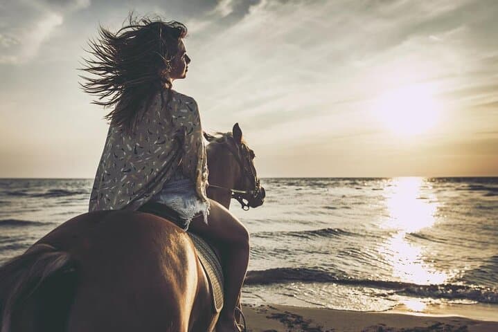Doha Desert Horseback Ride: Arabian Horse Riding Experience from Doha photo 2