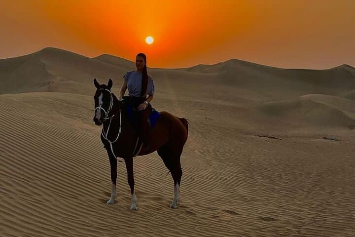 Doha Desert Horseback Ride: Arabian Horse Riding Experience from Doha photo 4