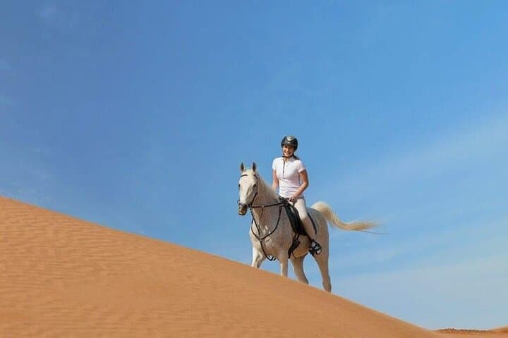 Doha Desert Horseback Ride: Arabian Horse Riding Experience from Doha photo 5