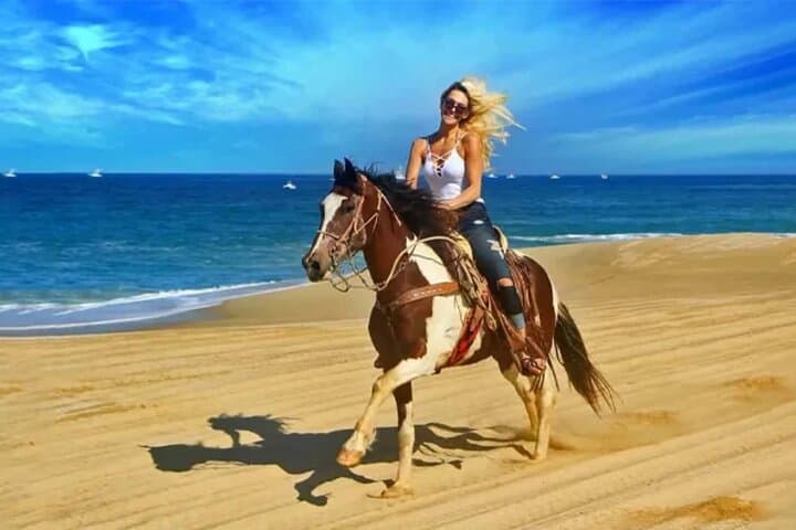 Doha Desert Horseback Ride: Arabian Horse Riding Experience from Doha photo 6