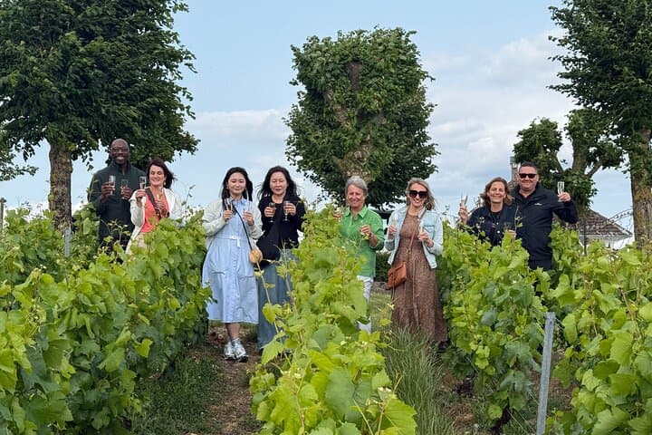 Champagne and Reims Day Trip from Paris — Épernay Cellars, Vineyard Views & Reims Cathedral photo 2