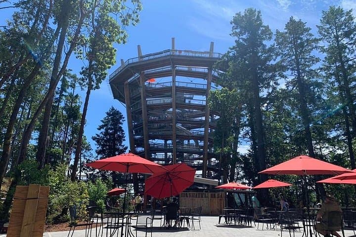 Victoria Day Trip — Butchart Gardens & Malahat SkyWalk Private Day Tour photo 1