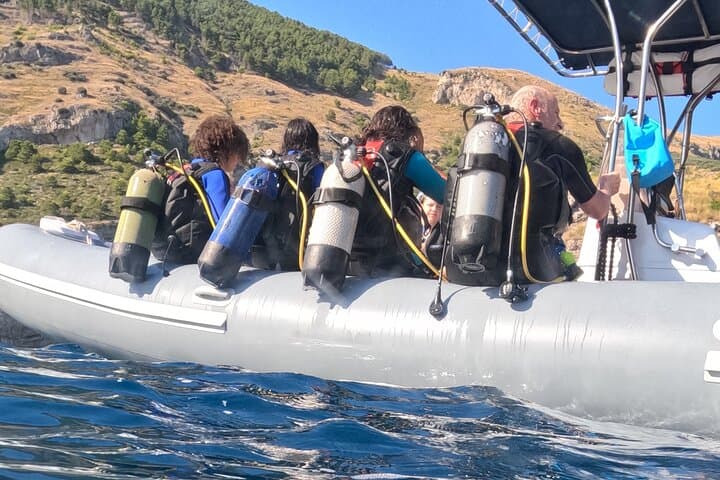 Discovery Scuba Diving in Punta Campanella: Beginner Guided Shallow Dive from Sorrento photo 5