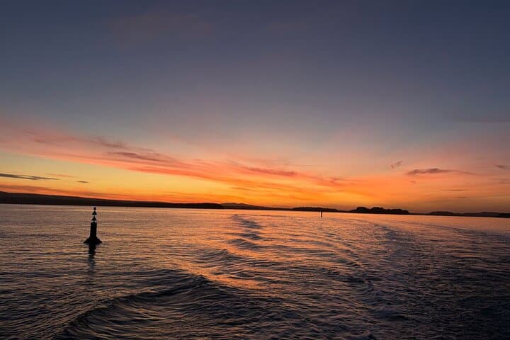 Poole Fish & Chips Harbour Cruise: Sunset & Lunchtime Boat Trip photo 5