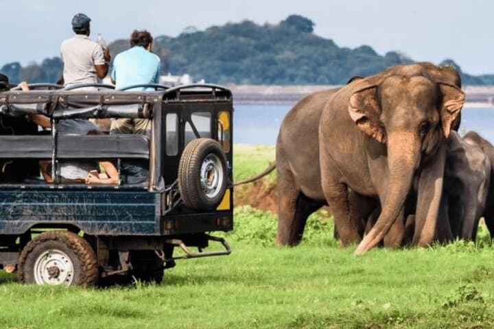14-Day Private Sri Lanka Luxury Tour: Culture, Wildlife & Coastal Relaxation photo 4