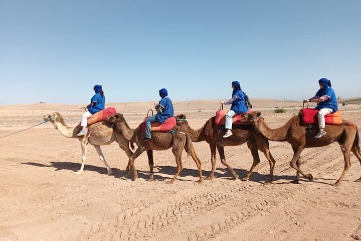 Sunset Camel Ride in Marrakech's Palmeraie Oasis photo 5