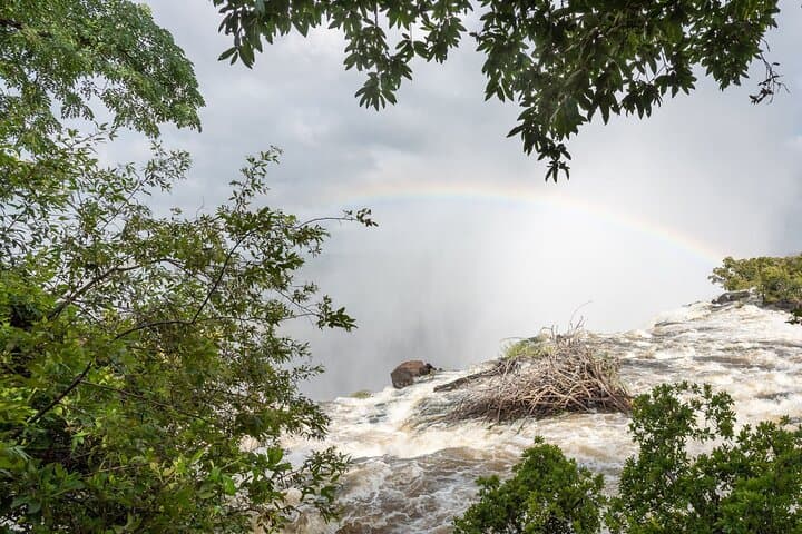 Victoria Falls Day Tour: Walk the Smoke That Thunders photo 3