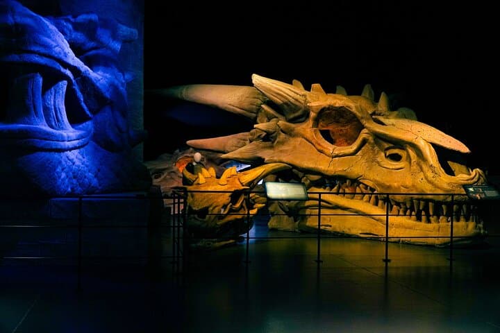 Game of Thrones Studio Tour at Linen Mill Studios — Official Banbridge Admission & Tips photo 5