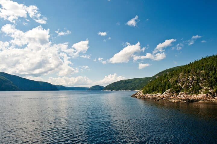 Québec City Whale Watching: Full-Day Saguenay–St. Lawrence Cruise & Zodiac photo 4