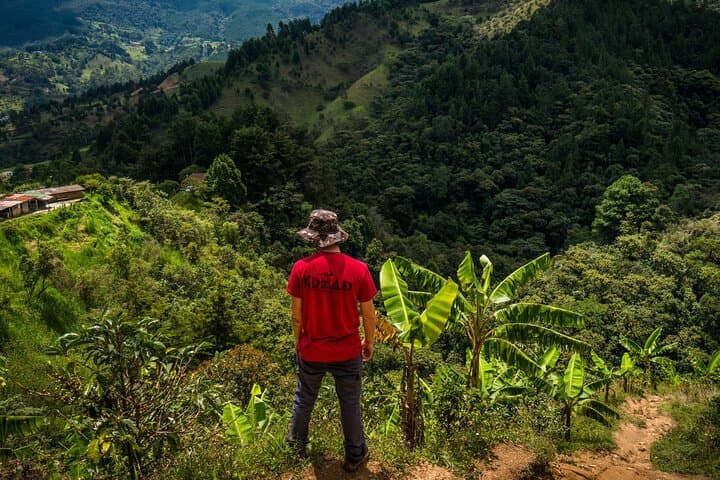 Half-Day Waterfall Hike from Envigado: Tropical Forest Swim & Birding Near Medellín photo 3