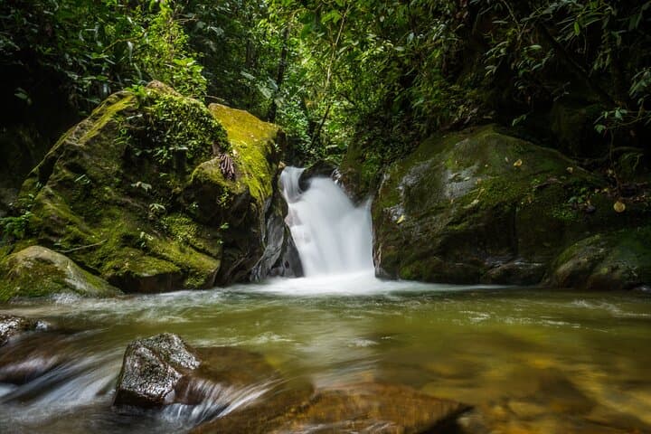 Half-Day Waterfall Hike from Envigado: Tropical Forest Swim & Birding Near Medellín photo 4