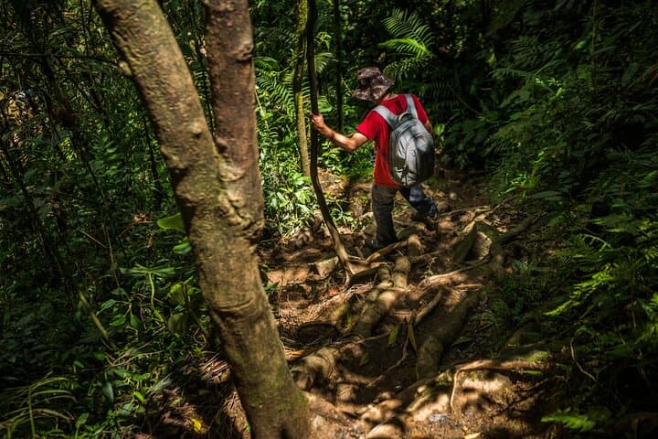 Half-Day Waterfall Hike from Envigado: Tropical Forest Swim & Birding Near Medellín photo 2