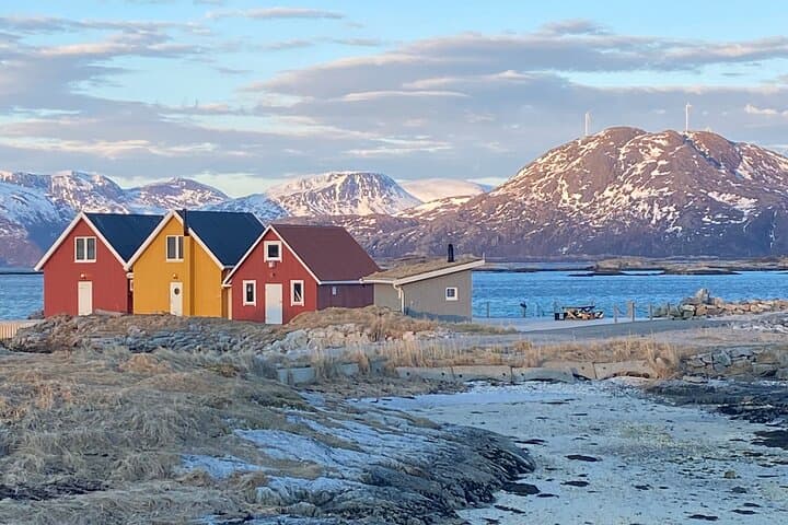 Tromsø to Sommarøy: Arctic Fjords Day Trip with Lunch photo 2