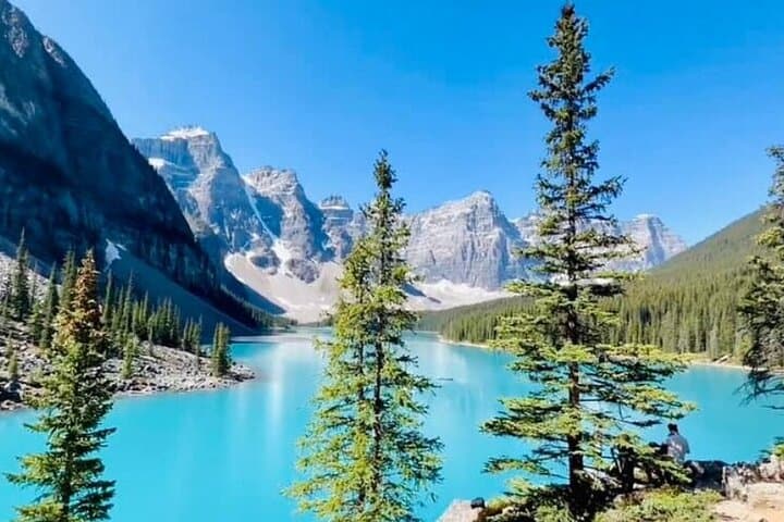 Banff Day Tour: Lake Louise, Johnston Canyon & Lake Minnewanka — Shared Small-Group Visit photo 3