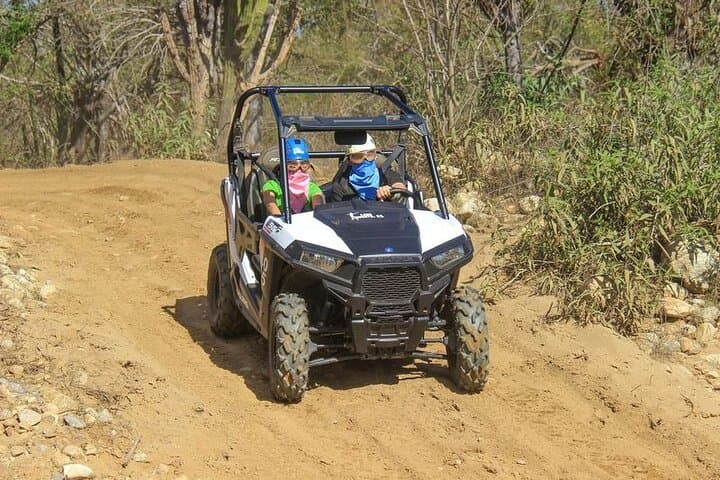 Cabo's Wildest Adventure: Zip Lines, Free-Falls & UTV Thrills in a Biosphere