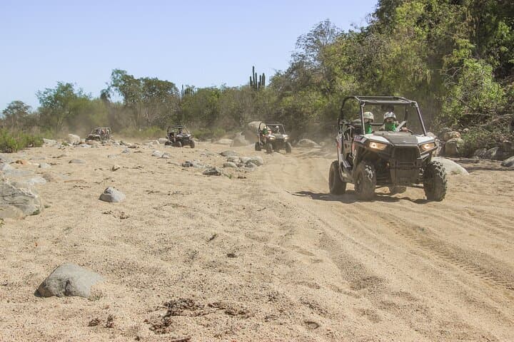 Cabo's Wildest Adventure: Zip Lines, Free-Falls & UTV Thrills in a Biosphere photo 3