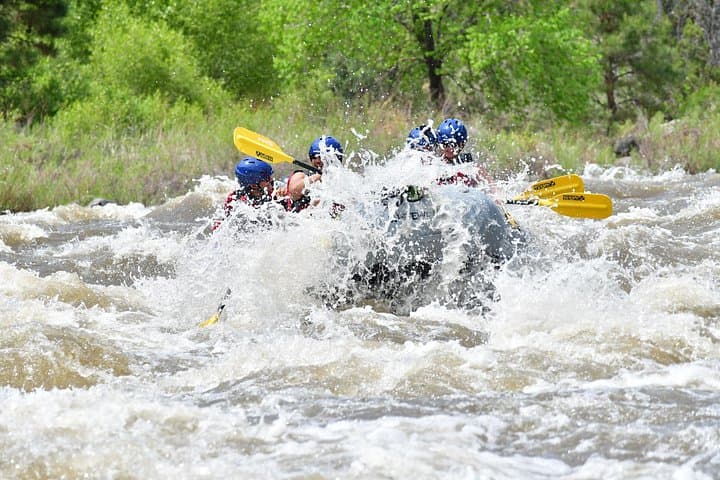Beginner Whitewater Rafting in Bighorn Sheep Canyon — Full-Day on the Arkansas River photo 1