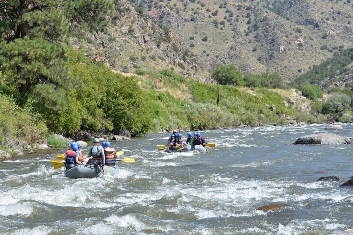Beginner Whitewater Rafting in Bighorn Sheep Canyon on the Arkansas River