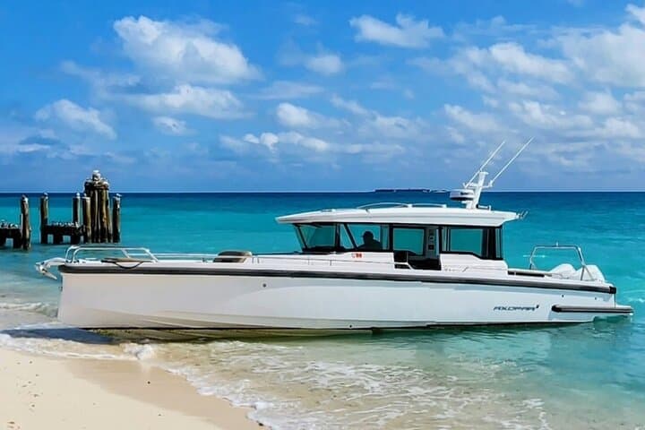 Axopar 37 Luxury Day Trip to Dry Tortugas from Key West photo 6