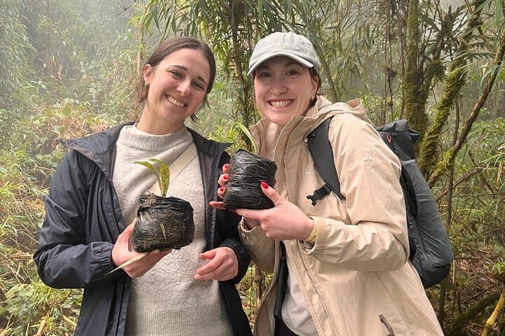 Explore La Carbonera: Wax Palm Forest 4x4 Conservation Tour from Salento photo 5