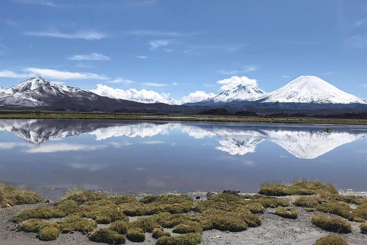 Chungará Lake & Lauca National Park Day Tour from Arica photo 5