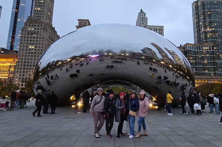 Chicago Skyline to Suburb Gems: Iconic Sights & Temple Tour