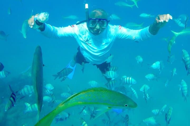 Puerto Plata Catamaran Party to Sosúa Bay — Snorkel, BBQ & Rum