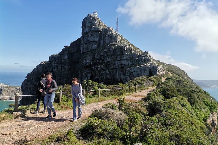 Cape Peninsula Tour — Cape Point, Chapman's Peak & Boulders Penguin Colony photo 4